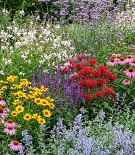 Motýlia lúka, trvalkový záhon 3 m²